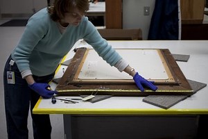 Conservation technician - Alchetron, the free social encyclopedia