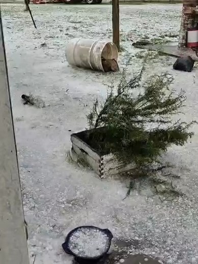 1.5K views · 211 reactions | Esta tarde en el establecimiento La Guagua, cerca de Colonia El Toro, en América, Pcia. Bs. As. (fuente santiagodebernardi) #viento #lluvia #piedra #tornado #clima #tormenta | Carlos Moreno | Facebook