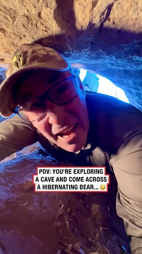 Understanding Bear Hibernation: Facts and Myths
