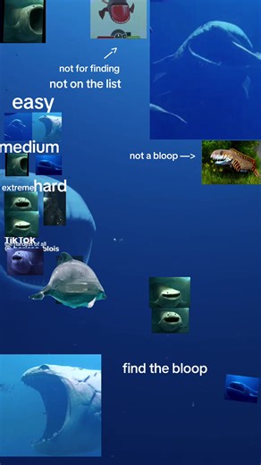 The bloop sea monster on TikTok