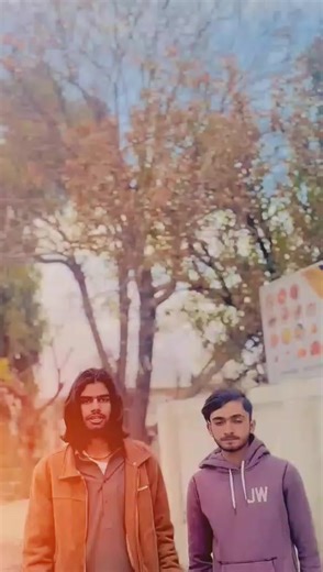 Exploring Fox Streaming Services: A Comprehensive Guide