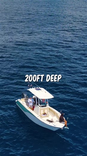 This Is What Lives 200ft Deep On a Shipwreck 🤯 #fishing #Florida #FishingDaily #deepsea #fishinglife