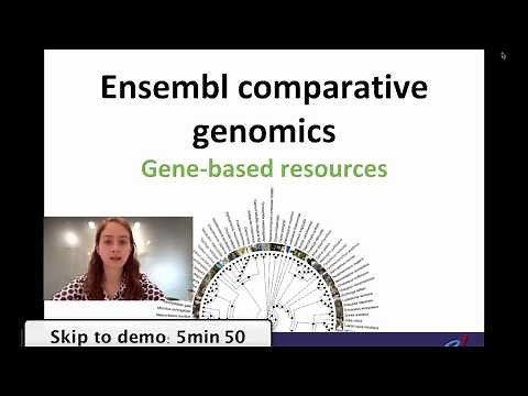 Comparative genomics data in Ensembl, 1: Homology and gene trees