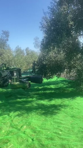 Green Tractor Spraying Fertilizer in Lush Field