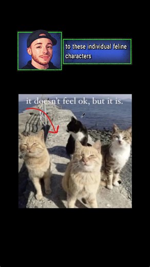 feel free to share your thoughts!