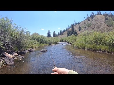 Hopper-dropper fishing a productive and scenic creek