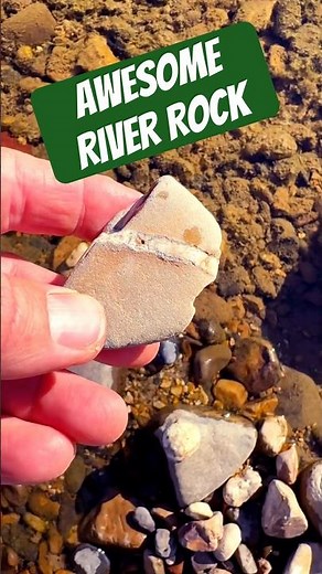 Beautiful Quartz Veined River Rock Discovery! #rockhounding #riverrocks #amsr #shorts