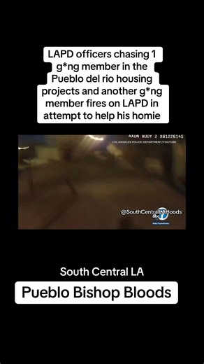 LAPD Chases Gang Members in Pueblo Del Rio Housing Projects