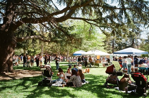 Davis police make another arrest in connection to Picnic Day shooting