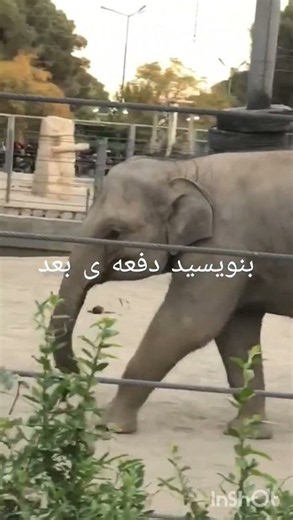 ۳۱ اوت ۲۰۲۶