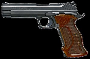 Sig Sauer P210 Target Stainless 9mm 5" Barrel 8-Rounds