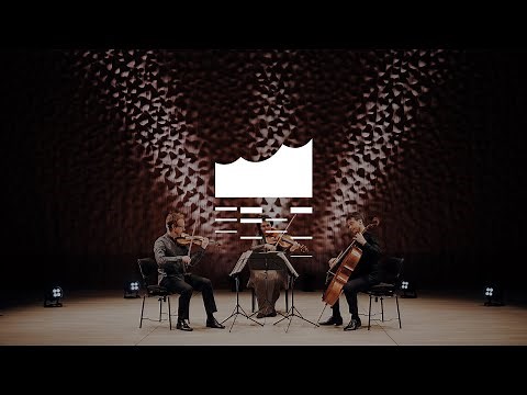 Beethoven String Trio op. 3: Daniel Sepec / Tabea Zimmermann / Jean-Guihen Queyras | Elbphilharmonie