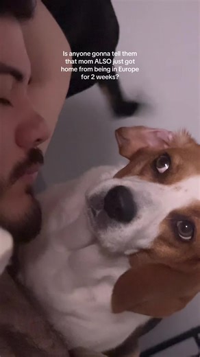 Like okay. I’ll just sit over here while y’all cuddle ✌️😒 #beaglesoftiktok #beaglemom #vacation #dink #dogmom