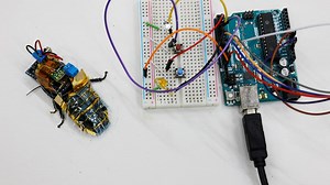 Cyborg cockroach | A new paradigm in search and rescue missions