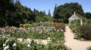 5 Ways to Celebrate Earth Day