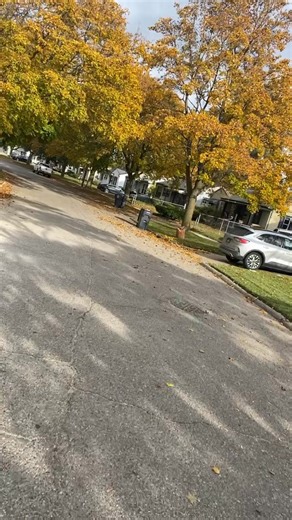 17 shares | Michigan Trees color change | Robert Parrish | Facebook