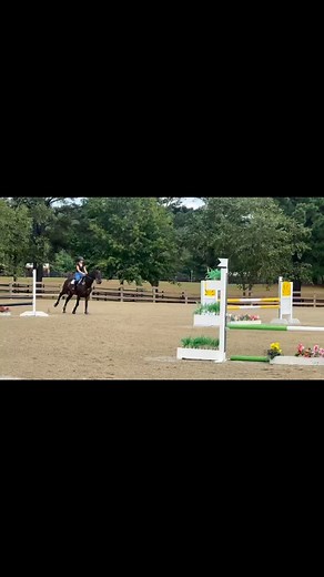 • 1 year with Ronnie 🥺 • Oh Ronald… where do we even start 😂. After a nasty accident (before Ronnie) I kinda lost the love I had for riding, but meeting Ronnie in the time that I told myself I’d never ride again or show or do anything completely changed after I sat on him for the first time. He was super green on the flat and had never stepped foot on XC. He was young, green, spooky and dumb, exactly what I needed… oops. After months of putting basic flatwork on him and slowly jumping again be