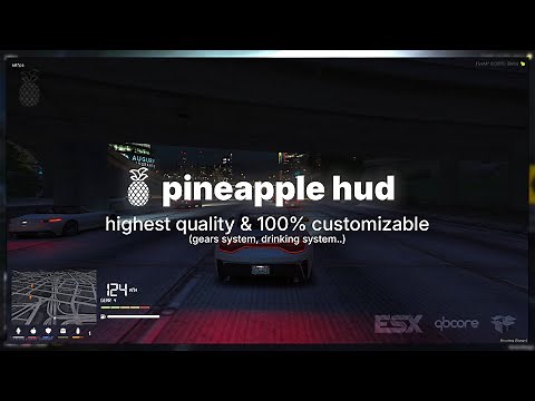 pn-hud - the most customizable hud on FiveM (ESX / QB / QBX) [+ gears, stress, compass..]