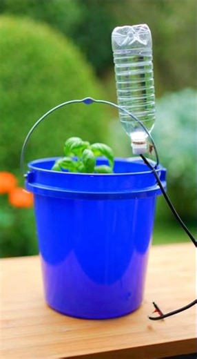 Turn a Plastic Bottle into Automatic Plant Watering System 🌱💧 (No Electricity Needed!)