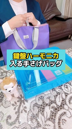 小学校教師ハチ | 88teacher888 @88teacher888 ⬅️他 小学生お役立ち動画コチラ 鍵盤ハーモニカ 入る手さげバッグ デビロック ピアニカが入る拡張できる レッスンバッグ オススメな点を3つご紹介します ①お道具箱、大きめの作品などが入る ②マチを開くと... | Instagram