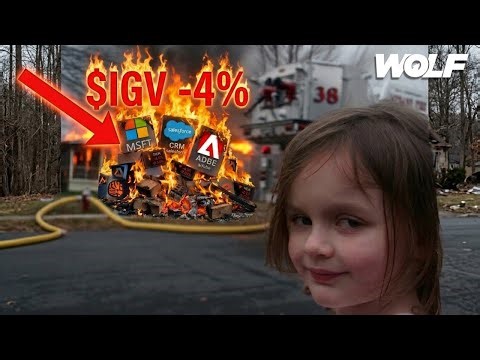 The Software Selloff Continues | The Solid Report