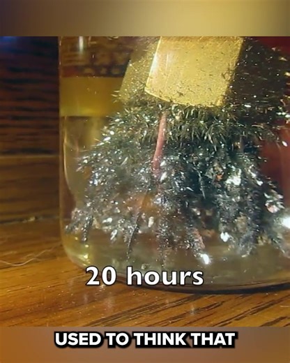 I Did An ANCIENT ALCHEMY Experiment 😱 | The Backyard Scientist