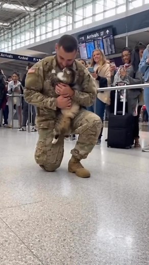 This moment reminds us of how deep the bond of love between cats and their owners is… Follow this emotional reunion and see how the soldier is welcomed by his furry friend after a long separation! 😻🌟💖 #CatsAndOwners #EmotionalReunion #SoldierAndCat #BestFriendsForever ReunionMoment #CatLove #SoldierHomecoming #EmotionalReunion #CatsAndTheirOwners | Cozy Cat Tales