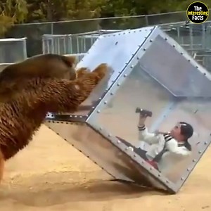 1.3M views · 13K reactions | #shorts #reels #interestingfacts #facts #game #gamming #japan #country #trendingreels #viralreels | The Interesting Facts | Facebook