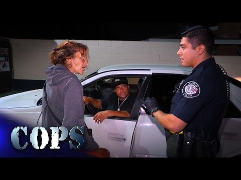 Puppy Luck, Show 3509, Cops TV Show