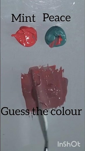 Mint vs Peach | Soft Pastel Color Comparison & Meaning