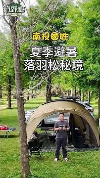 南投私房避暑路線！開箱海拔1000米落羽松秘境營地！獨享百萬夜景 #南投露營 #南投國姓 #百萬夜景 #高海拔 #落羽松
