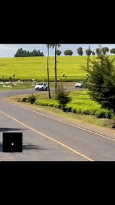 1.4K views · 68 reactions | LEILA on Reels | Facebook