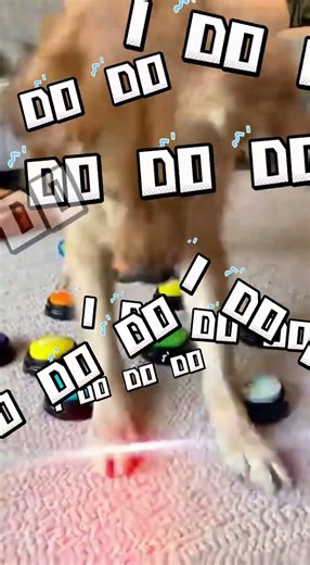 Testing Viral Dog Buttons… We’re Calling the Cops