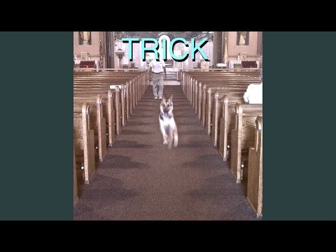 Sarah by Alex G Lyrics Meaning - Unraveling the Haunting Melancholy Within Indie Folk - Song Meanings and Facts