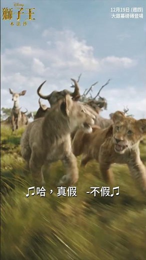 《獅子王：木法沙》渴望有個兄弟 片段 | 12 月 19 日 大銀幕磅礡登場