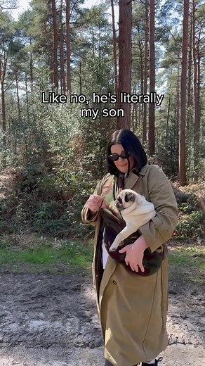 Meet Puggy Smalls: The Adorable Pug Who Thinks I'm His Mom! 🐶