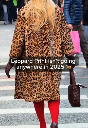 Leopard Print Outfit Inspiration for NYC Style