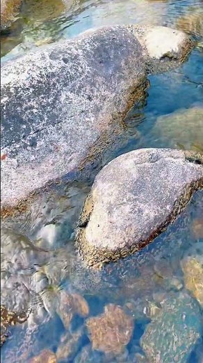Relaxing Nature Water Sounds Forest Meditation #naturehealing #forestlife #naturelove