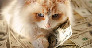 Popular pet and garden chain closing all locations, no bankruptcy