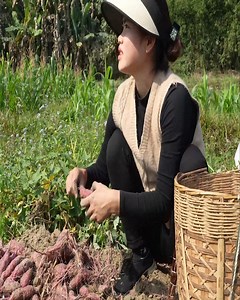 150K views · 5K reactions | #EP147: Harvesting purple sweet potatoes to sell and Hong looks after the kid Part 1 | Viral Top TV | Facebook