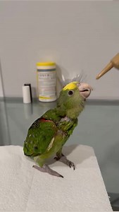 5.6K views · 195 reactions | Nacho Update! 列 Our very first exotic...