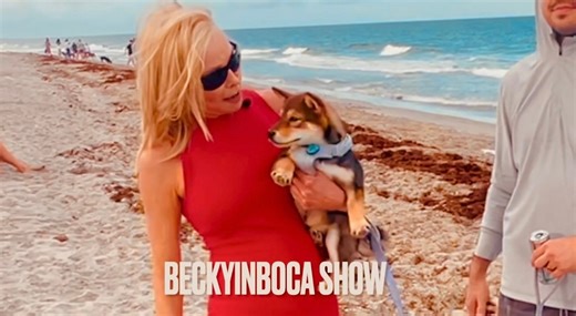 1.5K views · 20 reactions | Bark Beach in Boca Raton. Watch Saku the Shiba Inu’s first day at the beach. City of Boca Raton, FL Government | BeckyinBoca Show | Facebook