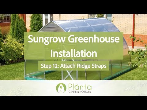 Step 12 - Attach Ridge Straps - Sungrow Greenhouse Installation 2021 Model