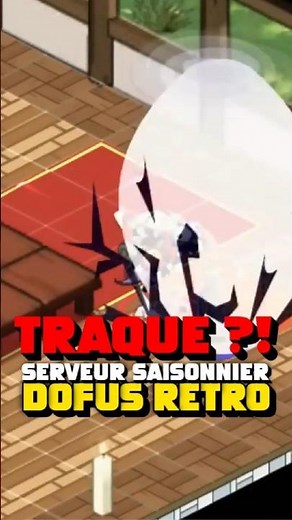 THE RETURN OF PVP on DOFUS RETRO ?!