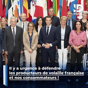 🌾 La Commission européenne supprime les labels garantissant l’élevage de qualité et introduit les insectes dans notre alimentation. Protégeons les droits des consommateurs et notre agriculture grâce à l’étiquetage de nos produits ! | Les Patriotes pour l’Europe