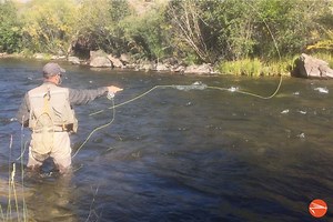 How To Cast In The Wind: 7 Simple Tips
