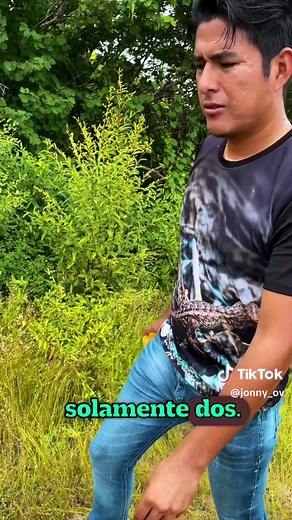 Culebras y Huevos en la Naturaleza: Parte 2