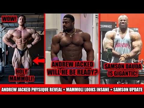 Will Andrew Jacked be in shape? + Andrea Mammoli could win? + Samson Dauda Update + Wildcards + MORE