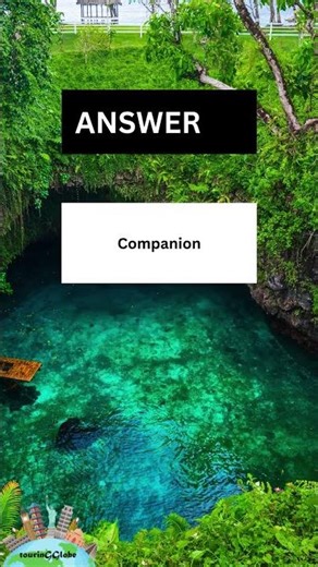 FUN Synonym QUIZES to Test Your Vocabulary!