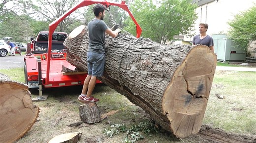 My new urban logging trailer adventure